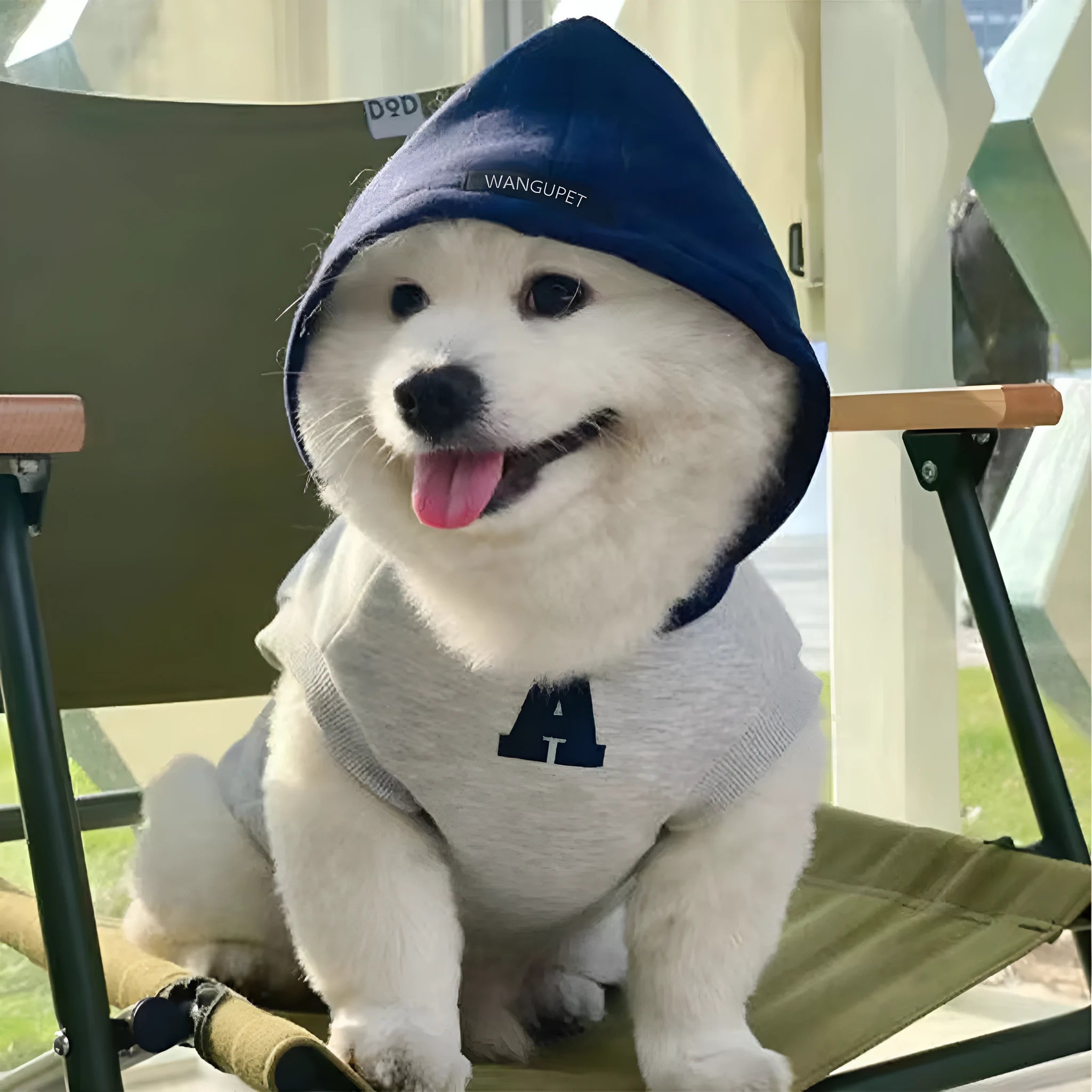 Blue and grey white slim-fitting pet hoodie with reflective letters for cats and dogs