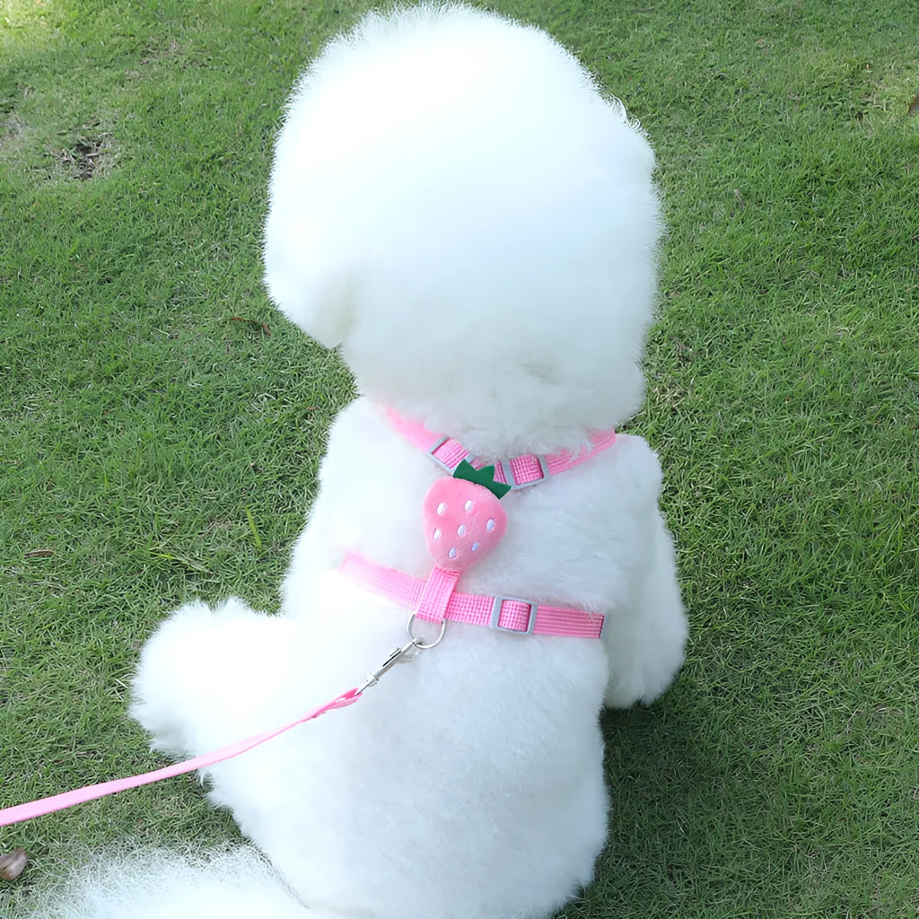 Reflective chest strap vest-style dog walking lead in polyester material showing carrot colour option