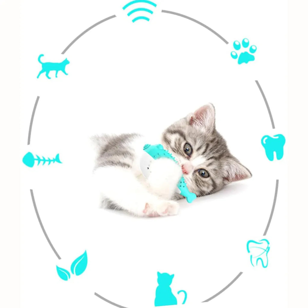 Silicone fish-shaped cat chew toy in blue, green, pink, or yellow colour options