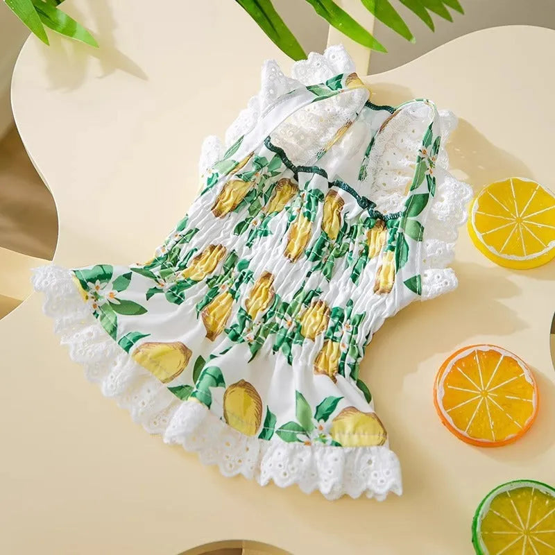 Rock yellow lemon polyester princess style dog dress with thin breathable strap skirt on a small dog.