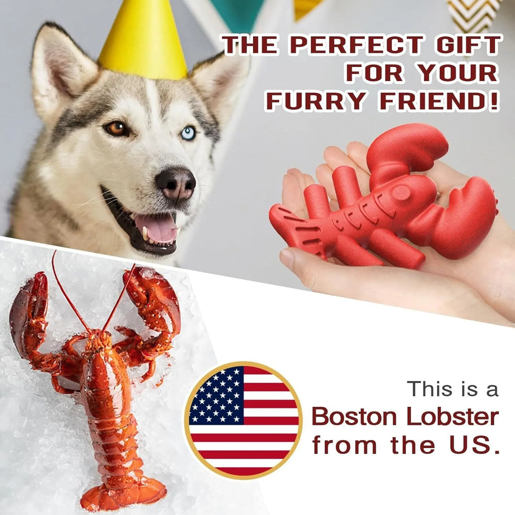 Red hard material dog chew toy for large aggressive chewers measuring 170×132×57 mm