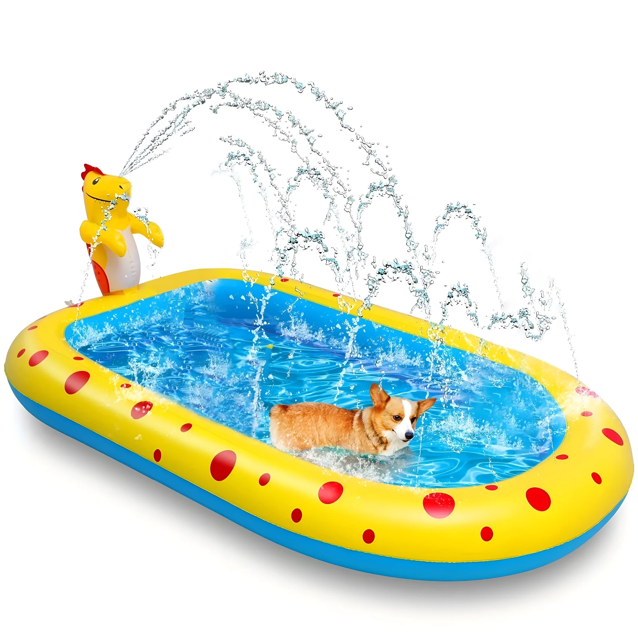 Blue dinosaur water spray pool measuring 170cm long with inflatable shark design for garden play