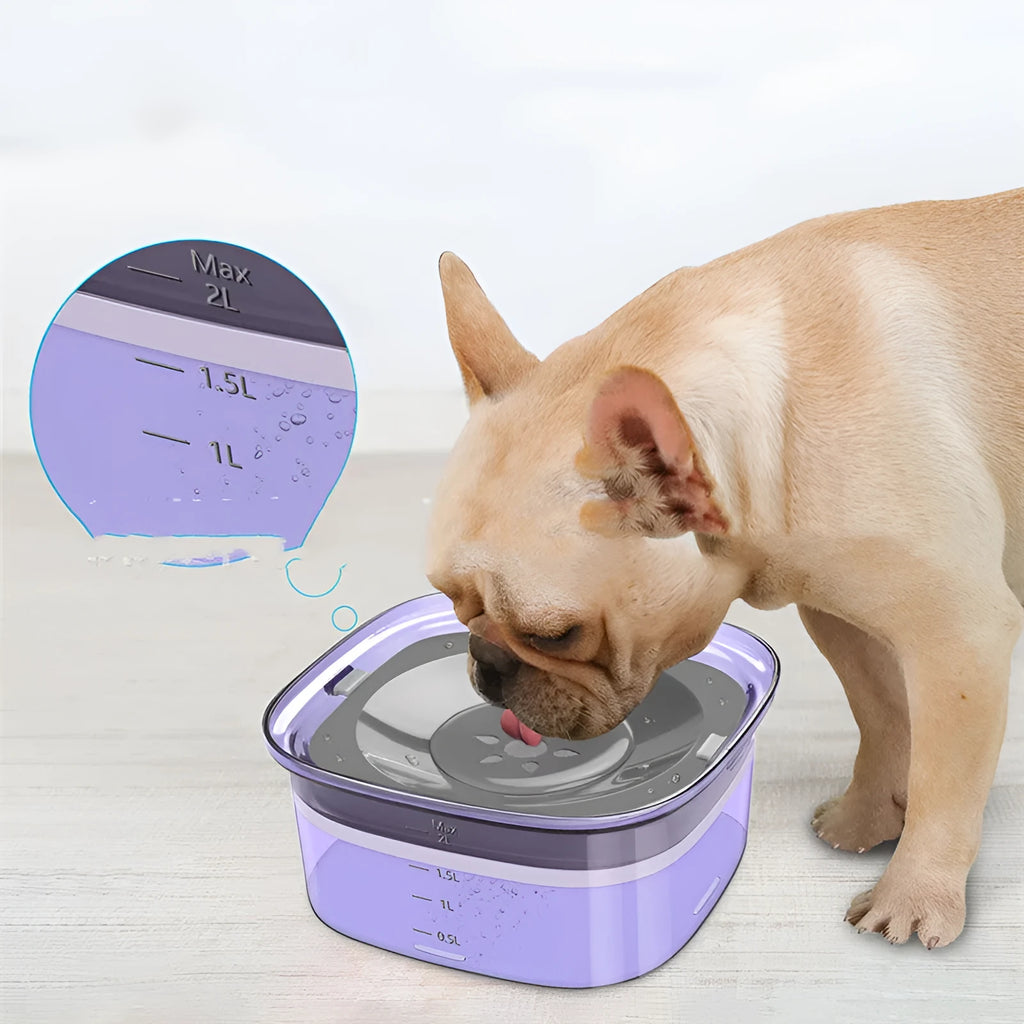 Pet dog floating water bowl in transparent colour, splash-proof design, 21.3x18.8x9.5cm ABS plastic