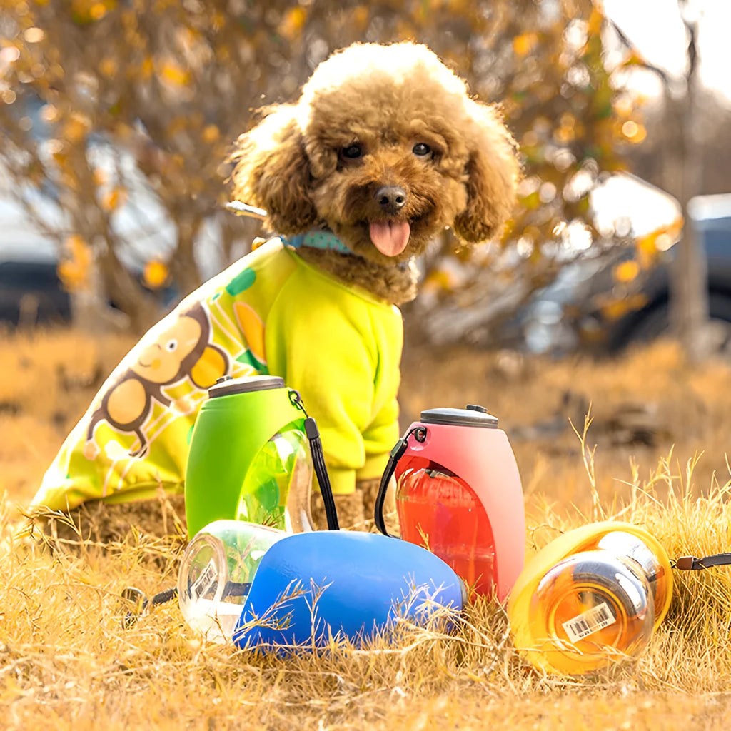 Blue portable pet water bottle with drinking bowl showing water lock mechanism and hanging attachment