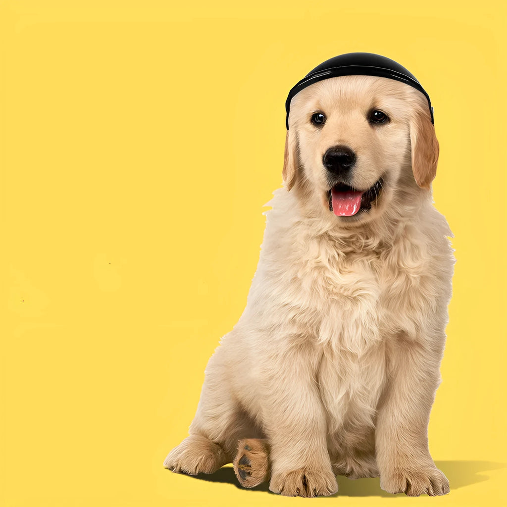 S size plastic pet helmet for small dogs in pink, black, yellow, or green