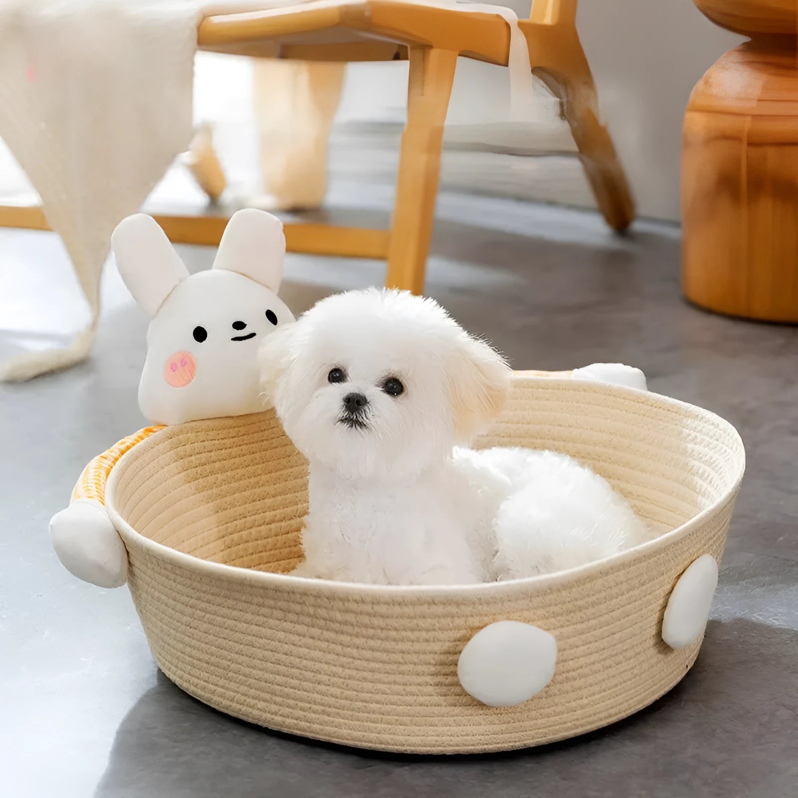 Woven cotton rope cat bed basket with scratching pad in bear design, shown next to a cat.