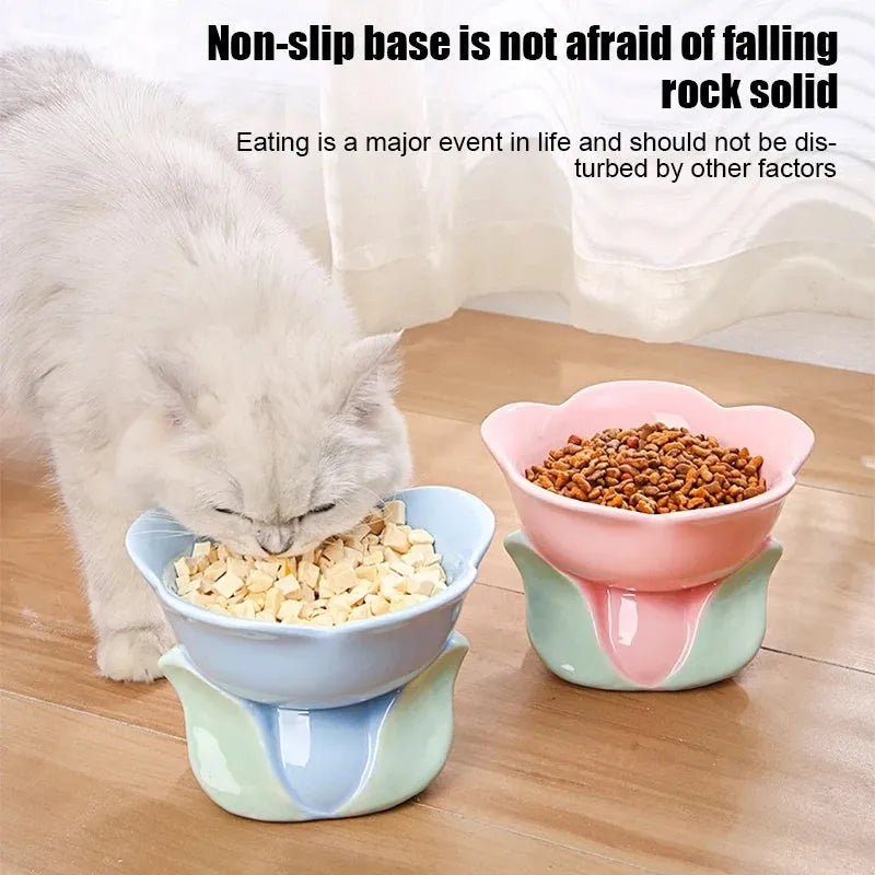 Blue and pink floral patterned ceramic raised pet bowl with non-slip base for cats and small dogs