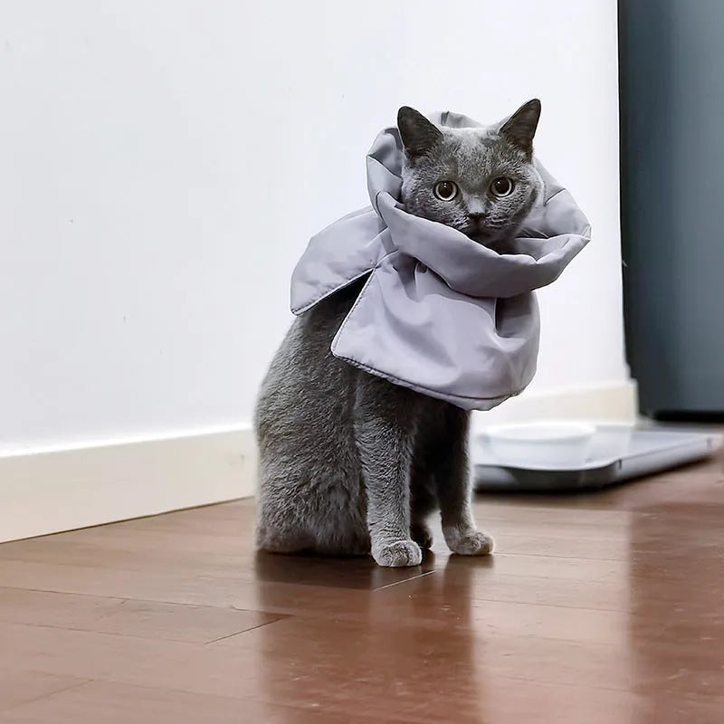 Soft adjustable blue Elizabethan recovery collar for cats and small dogs on a white background.