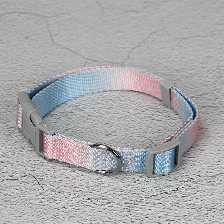 Gradient colour nylon dog leash set showing pink and yellow colour blend on a chest back harness style.