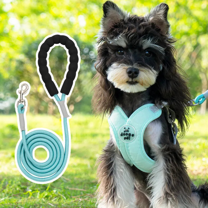 A blue polyester dog harness with an attached rope, laid flat, showing adjustable straps and metal clasp.