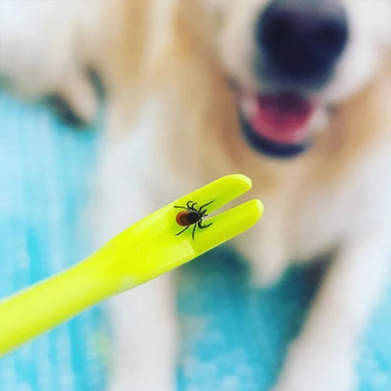 Three blue plastic pet tick removal clip tools with hook design for dogs and cats
