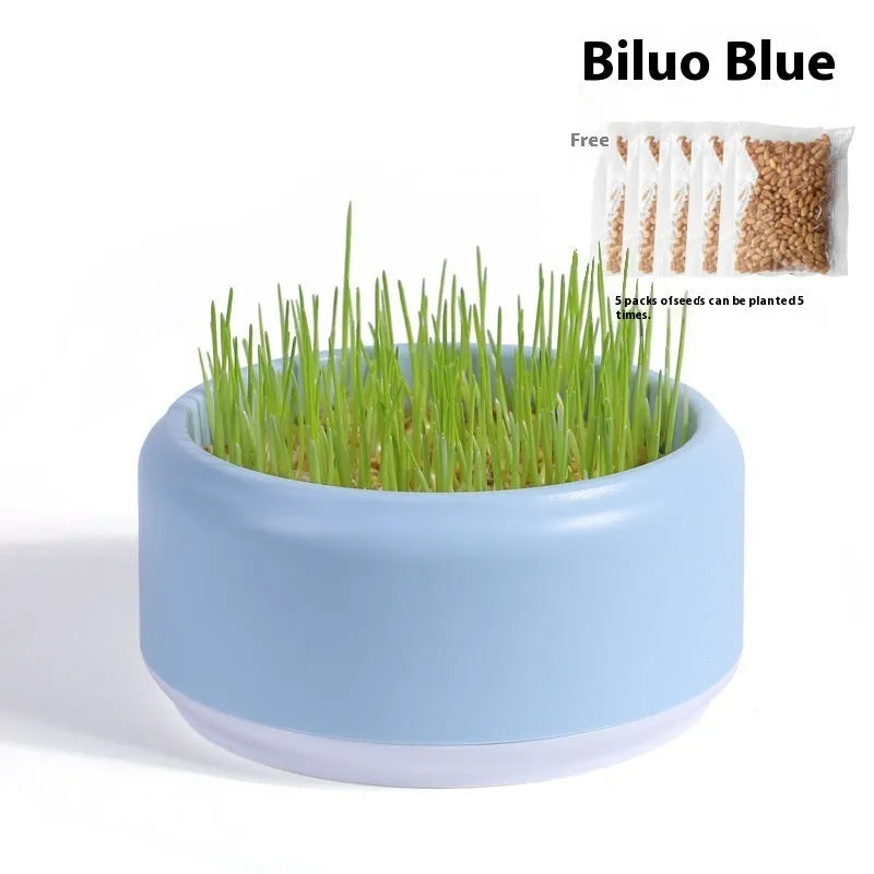 Blue, green, and yellow hydroponic cat grass kits with soilless planters and seed packets.