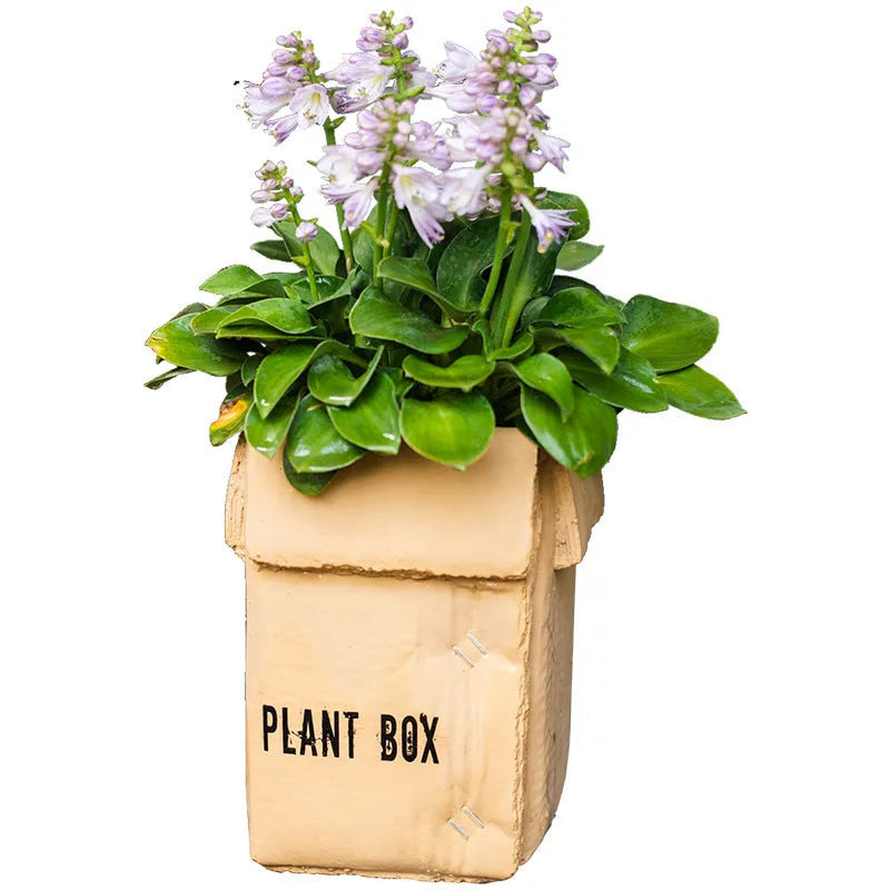 Cement brown paper box design flowerpot with drainage holes in Nordic style for indoor balcony planting