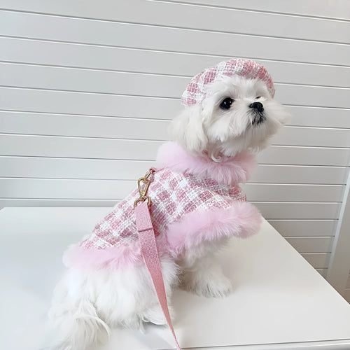 Pink cat clothing set with beret, cloak and hand holding rope for female cats