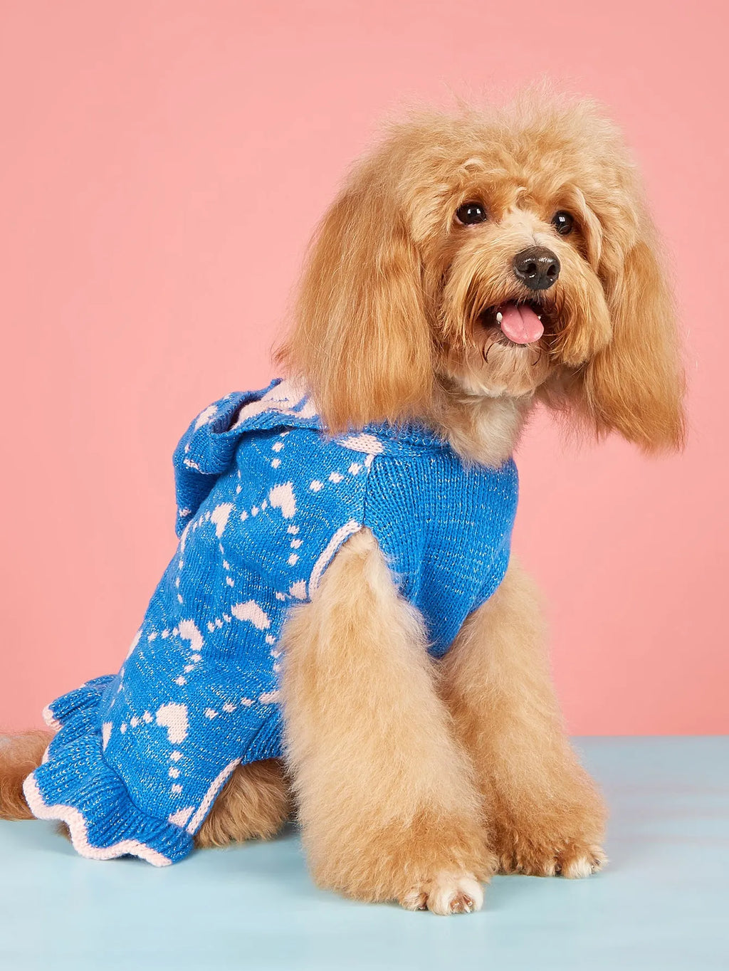 Small Dog Sweater Hoodies Dress Winter Knit Cute Clothing Heart Puppy Clothes with Four Colour Options and Four Sizes Including XS for Tiny Breeds