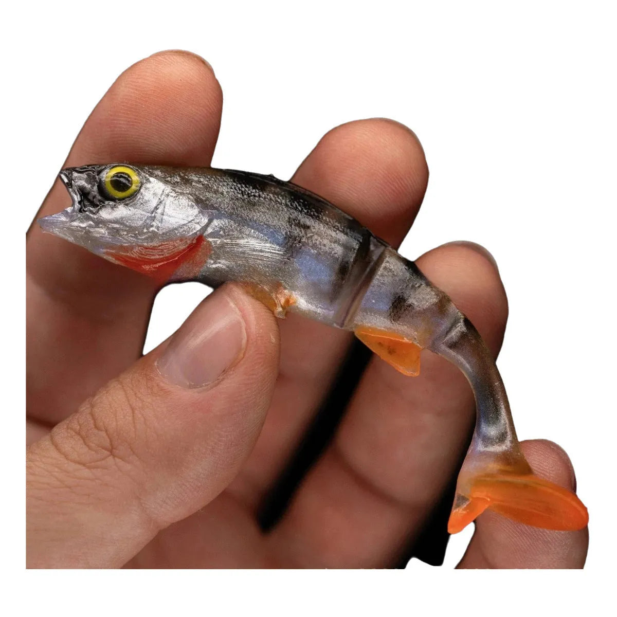 Fish T Tail soft fishing lure with realistic fish colour pattern and T-tail design