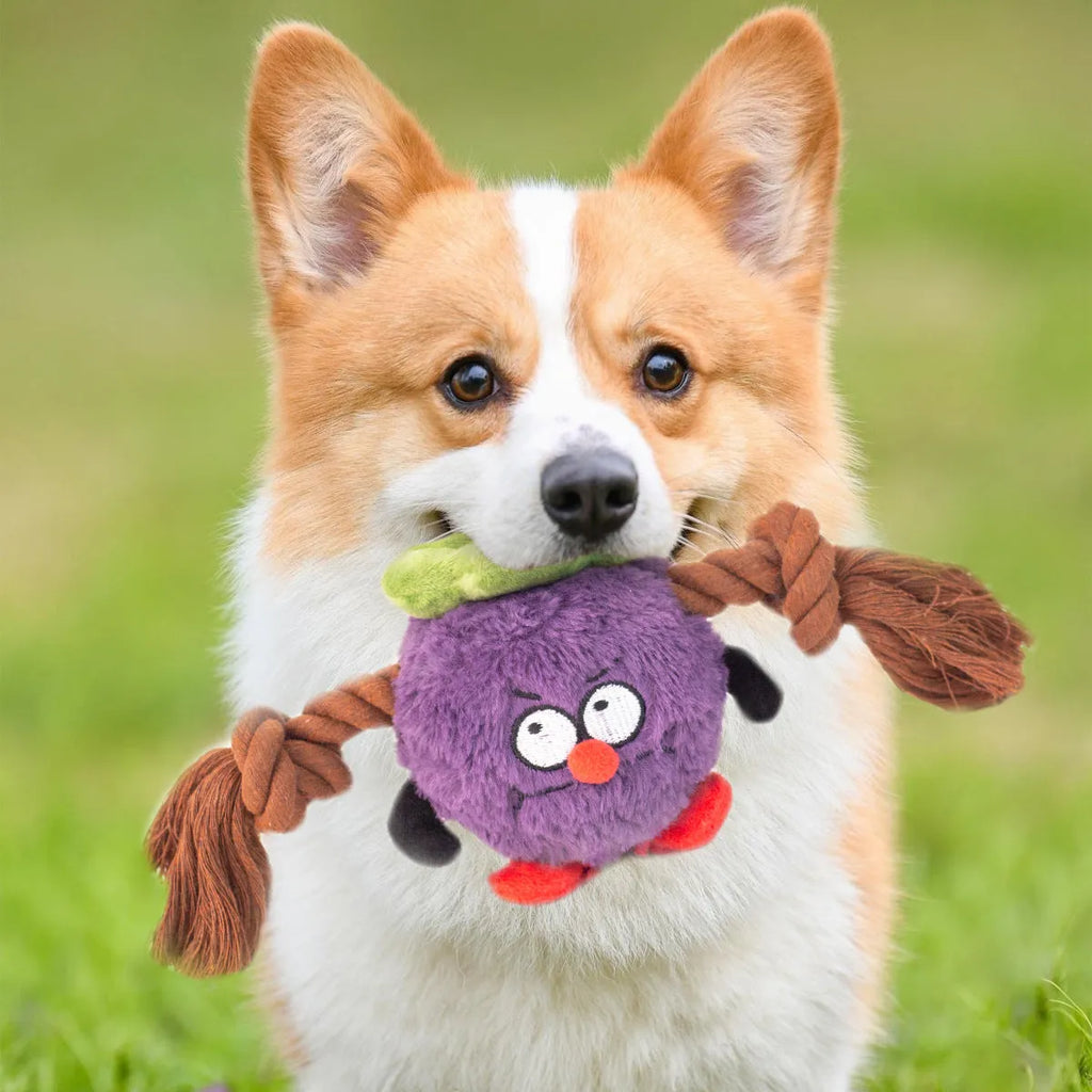 Green plush rope knot dog toy with molar tooth shape for tug-of-war games