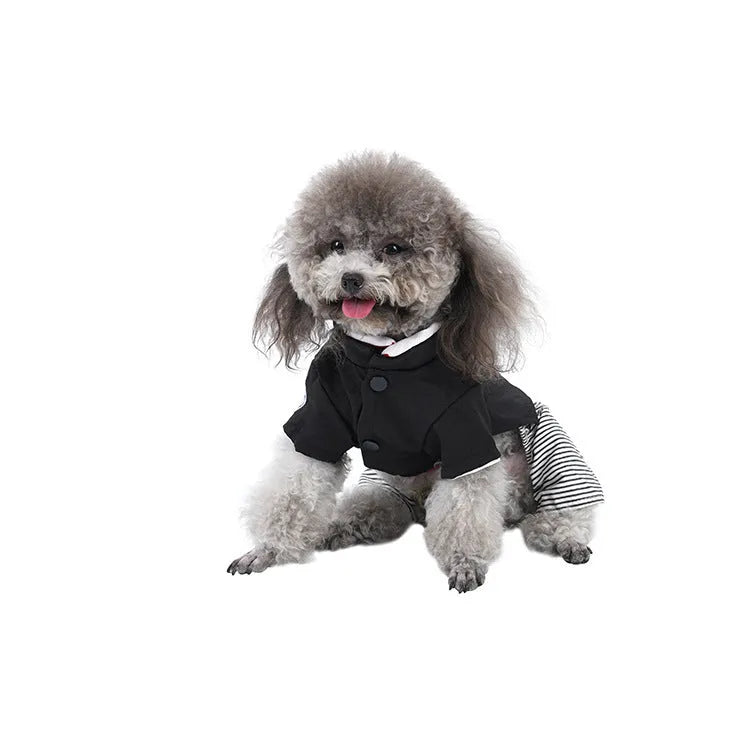 Cotton poodle dog clothes in skirt and four-legged pants styles for spring summer autumn wear