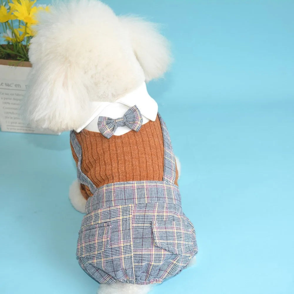 Orange cotton dog shirt with button front and fitted collar for small dogs