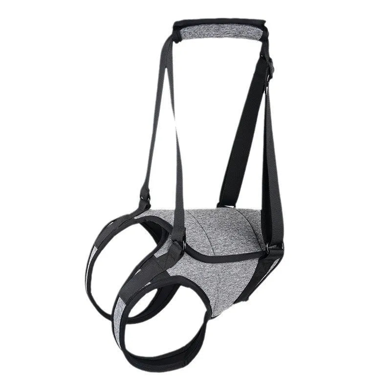 Grey neoprene dog rear leg recovery belt showing adjustable sizing for injury support