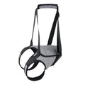 Grey neoprene dog rear leg recovery belt showing adjustable sizing for injury support