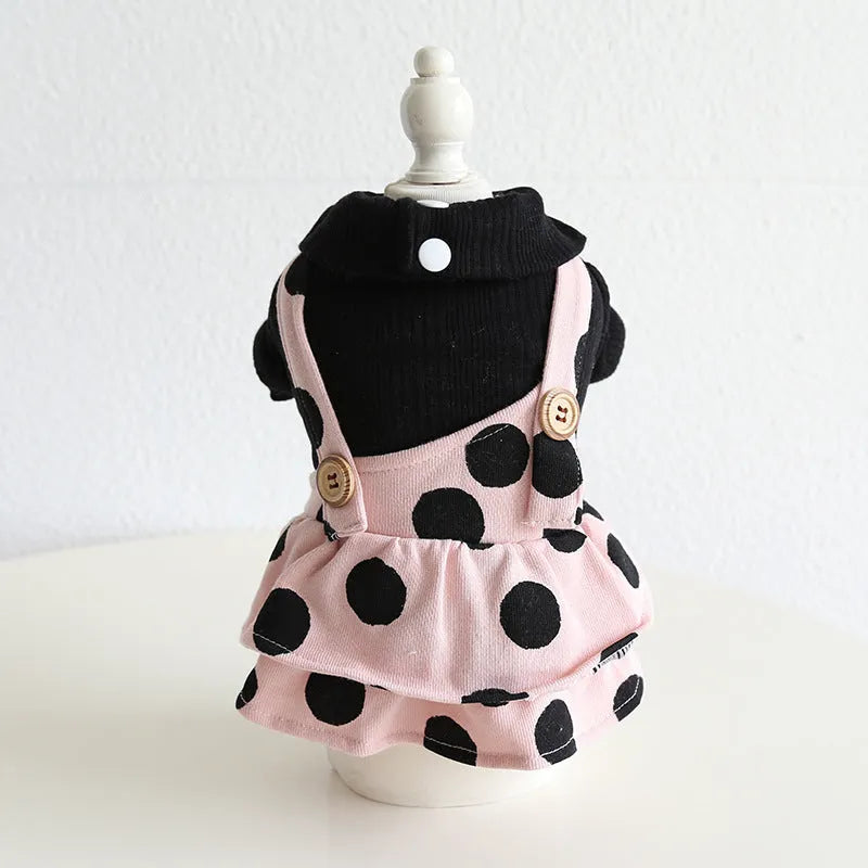 Casual cloth dog clothes showing skirt and four-legged style options in various sizes