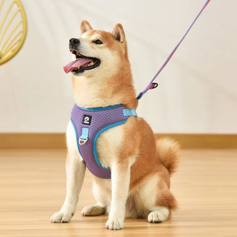 Adjustable mesh dog harness with reflective trim in black red grey or light purple colours