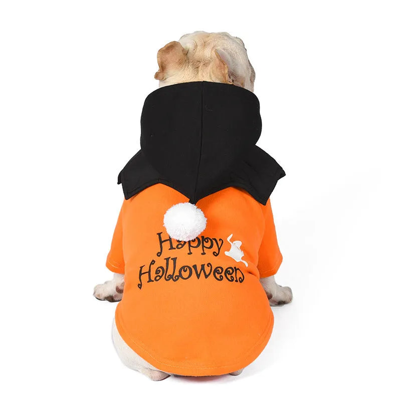 Black and orange pumpkin patterned dog sweater with matching shawl Halloween costume set