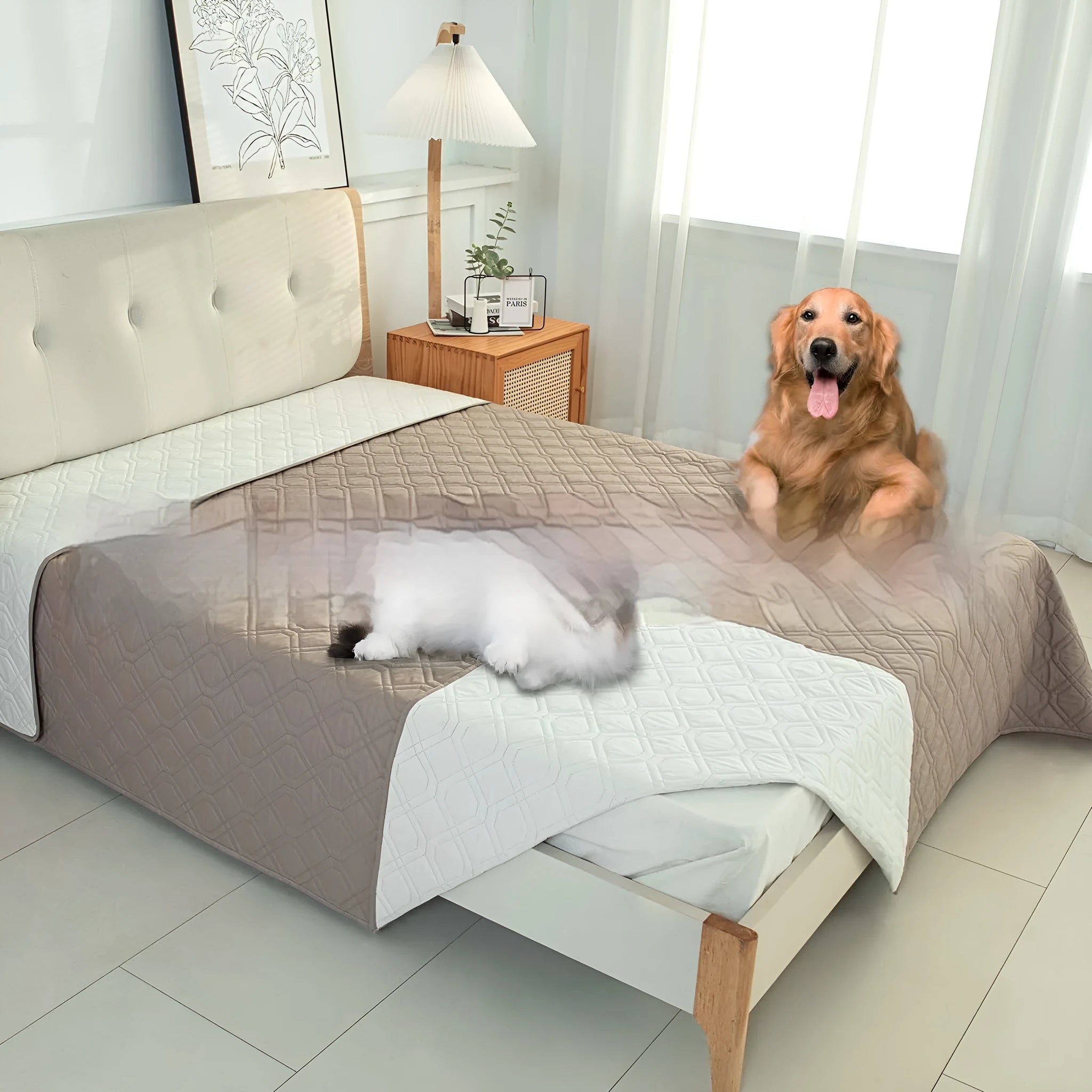 Reversible waterproof dog sofa cushion in dark grey and light grey or khaki and beige colours