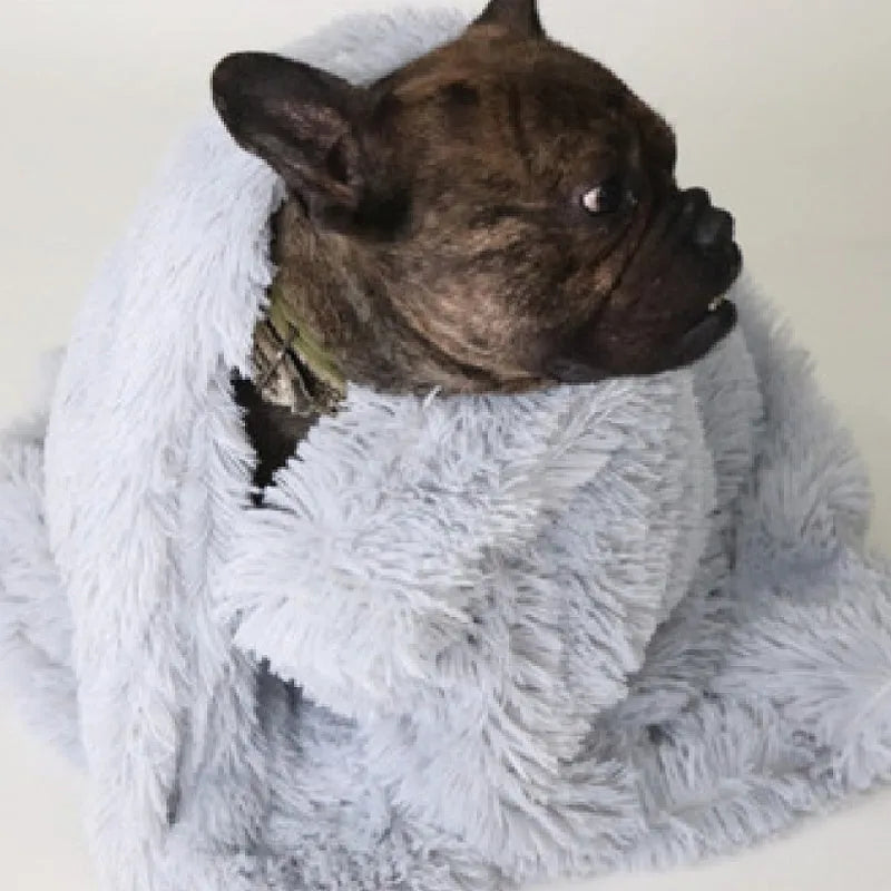 Dark grey wool polyester plush pet blanket shown in L size 100x75cm for dog kennel use