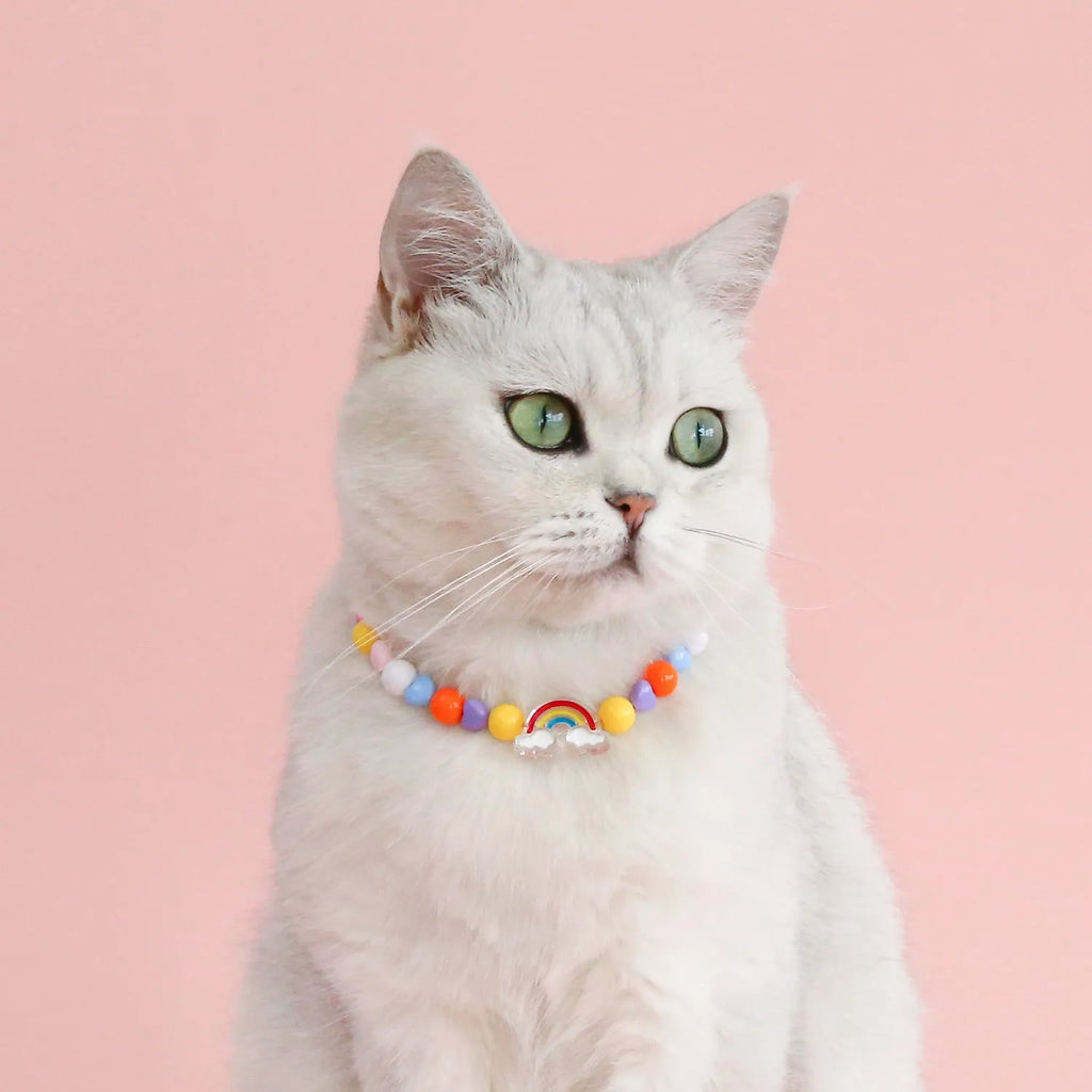 Colourful plastic bead cat necklace adjustable for pet wear in rainbow, peach, or small flower patterns