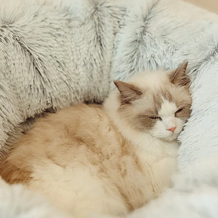 Closed cat tunnel nest 95cm made of long fluffy plush in rainbow colour on a wooden floor