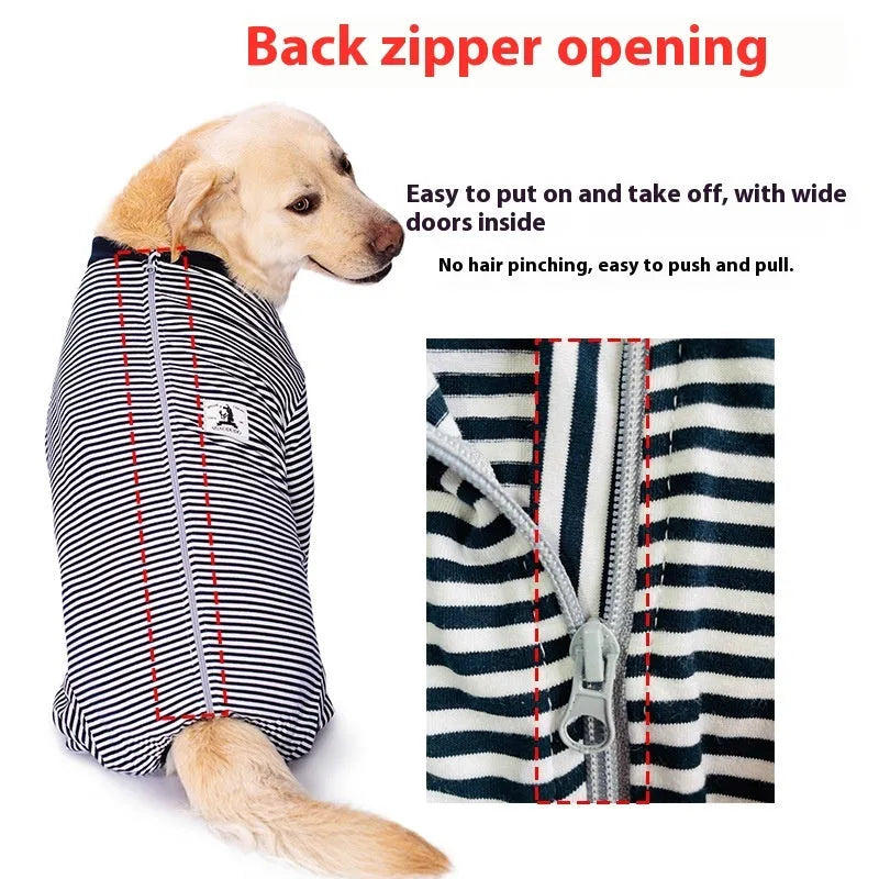 Four-legged striped dog shirt on Golden Retriever showing full coverage design with sky blue colour