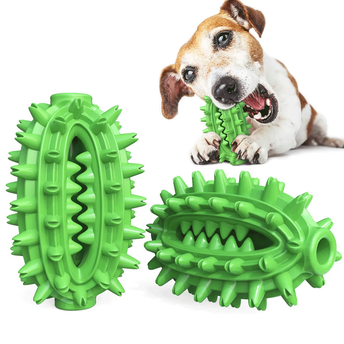 Green cactus-shaped dog chew toy with textured bumps and a central channel for dental care.