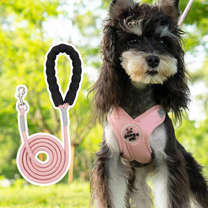 A blue polyester dog harness with an attached rope, laid flat, showing adjustable straps and metal clasp.