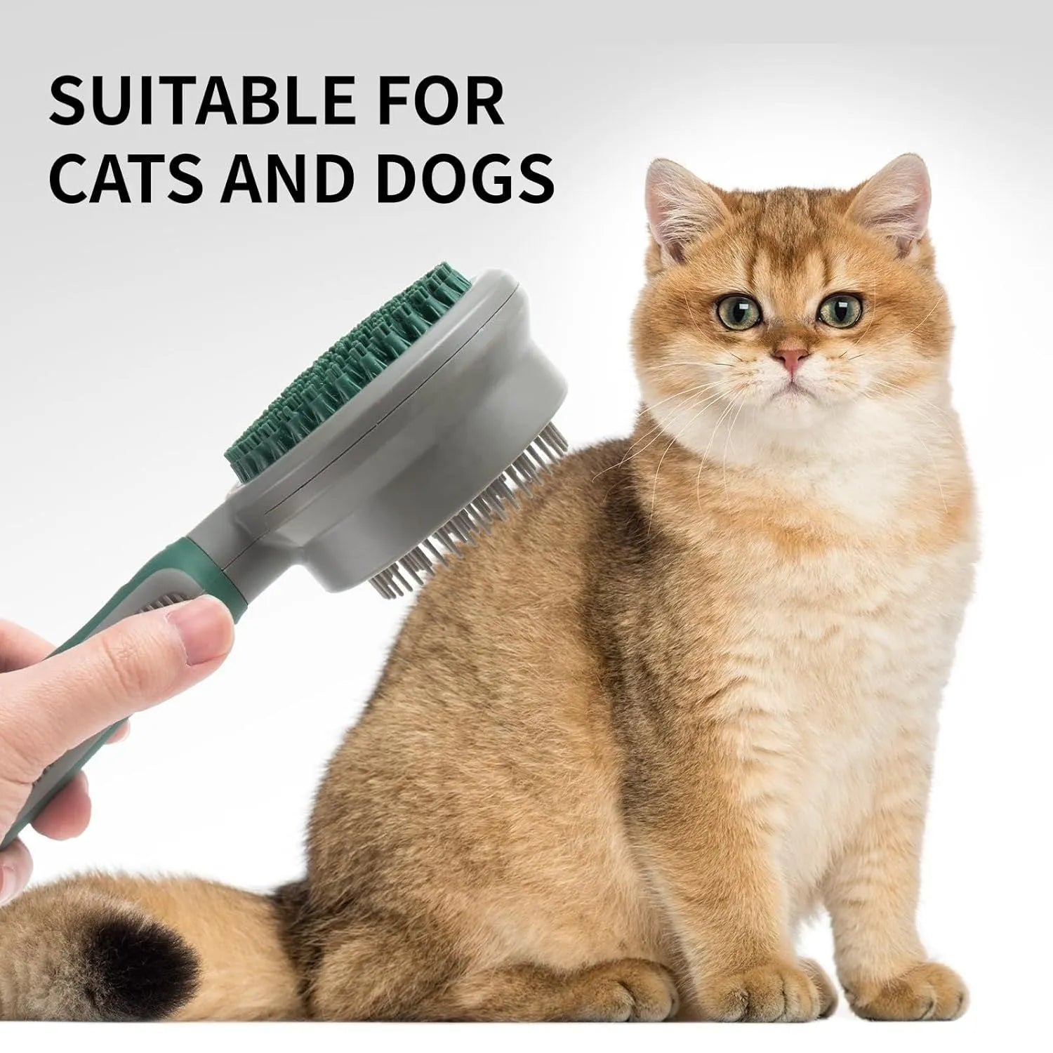 Green and pink 2-in-1 silicone cat grooming brush showing slicker brush and massage heads