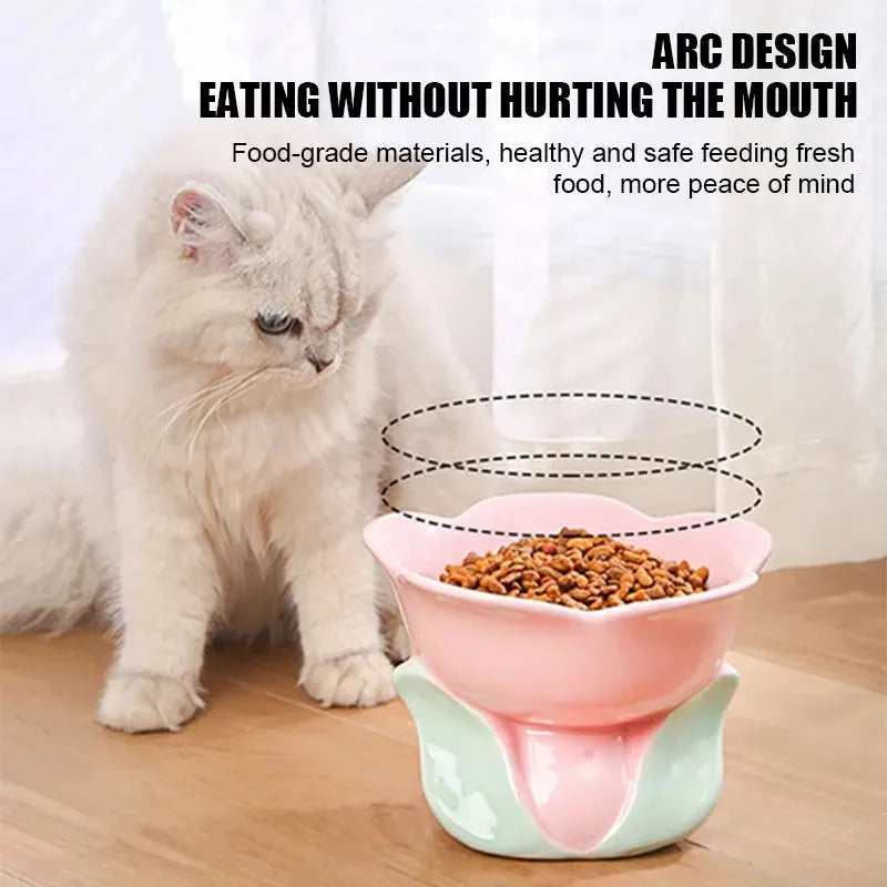 Blue and pink floral patterned ceramic raised pet bowl with non-slip base for cats and small dogs