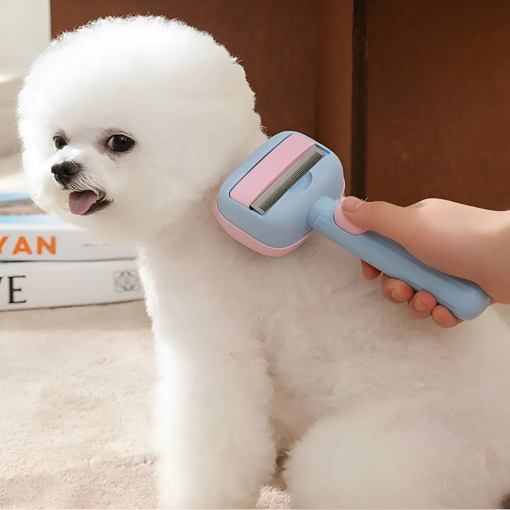 Blue and green double-sided pet grooming brush for deshedding and dematting cats and large dogs.