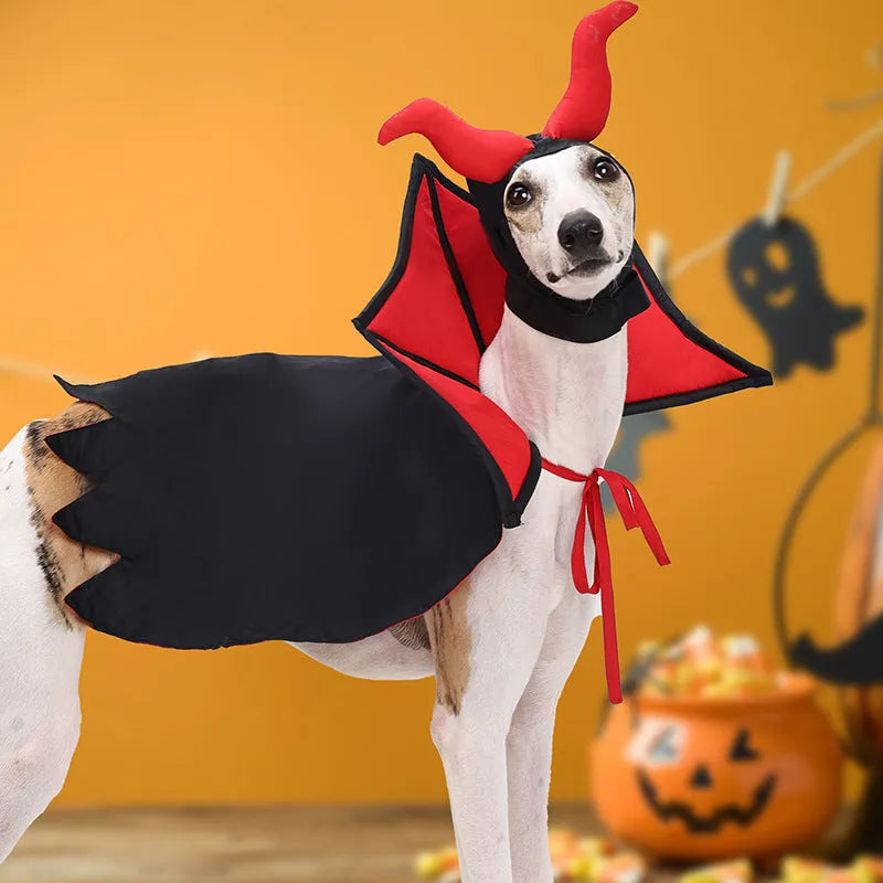 Black polyester pet vampire cloak and hat Halloween costume for cats and dogs