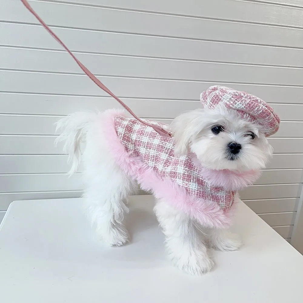 Pink cat clothing set with beret, cloak and hand holding rope for female cats