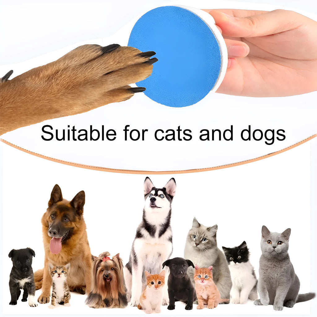 Square dog nail file board with replaceable sandpaper and ergonomic handle in multiple colour options