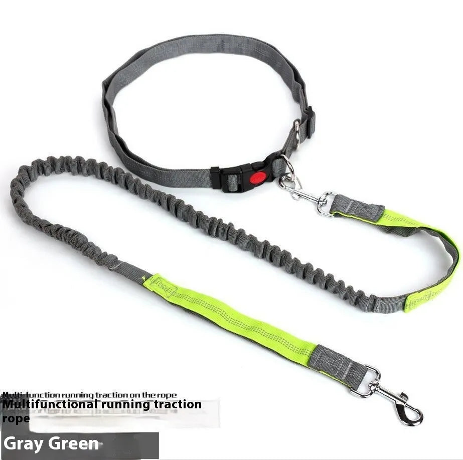 Elastic dog leash with reflective filament in gray and blue colour combination showing 2.5cm width
