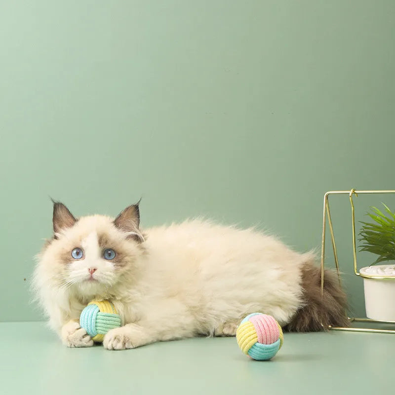 Handmade blue powder and green cat hair ball plush cotton toy for pet teeth grinding.