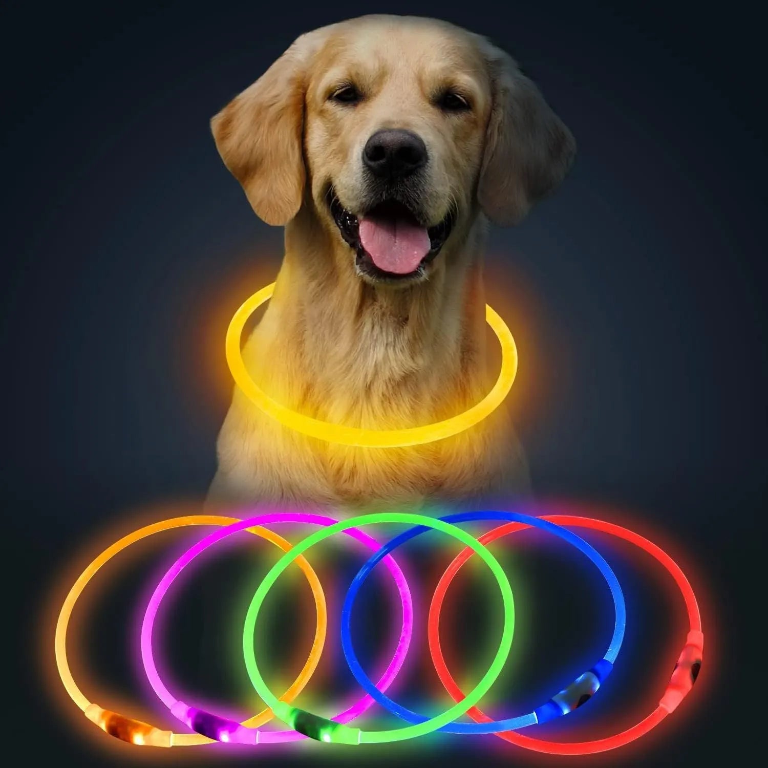 USB rechargeable LED dog safety collar with glowing light and adjustable 70cm TPU construction