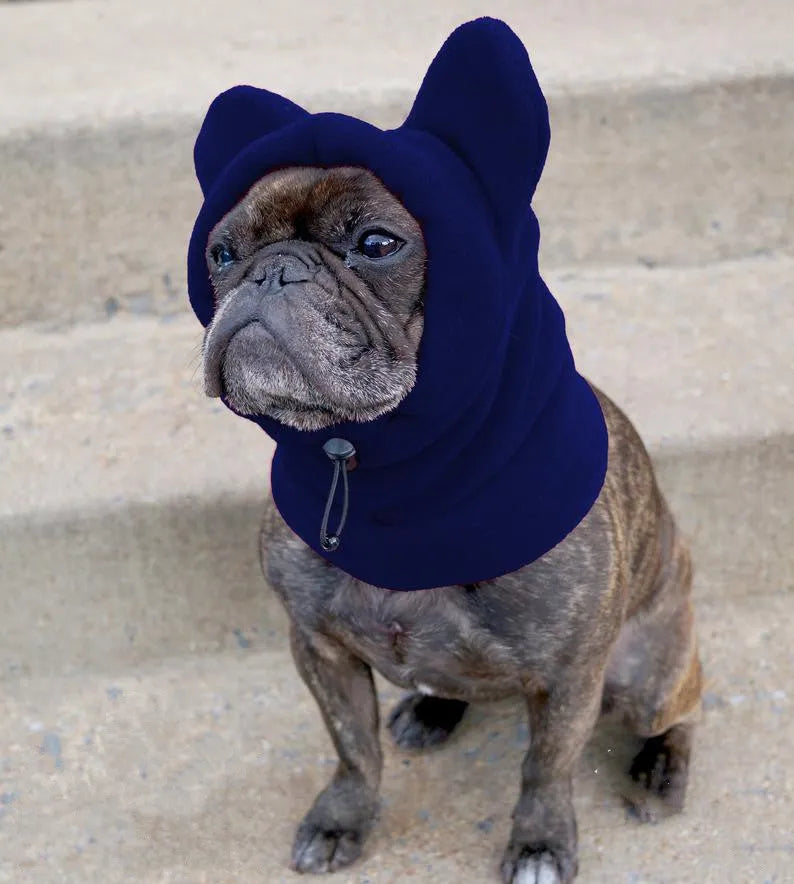 Polar fleece pullover dog hat in red on a small dog, side view
