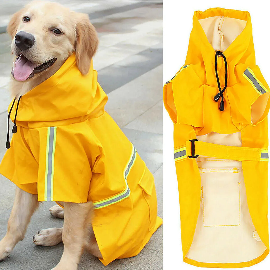 Waterproof dog raincoat in synthetic leather with reflective stripe and hood on a small dog