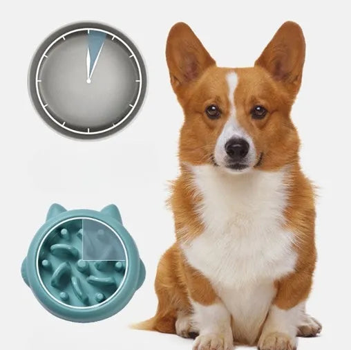 Green pet slow feeder bowl with bone-shaped raised ridges