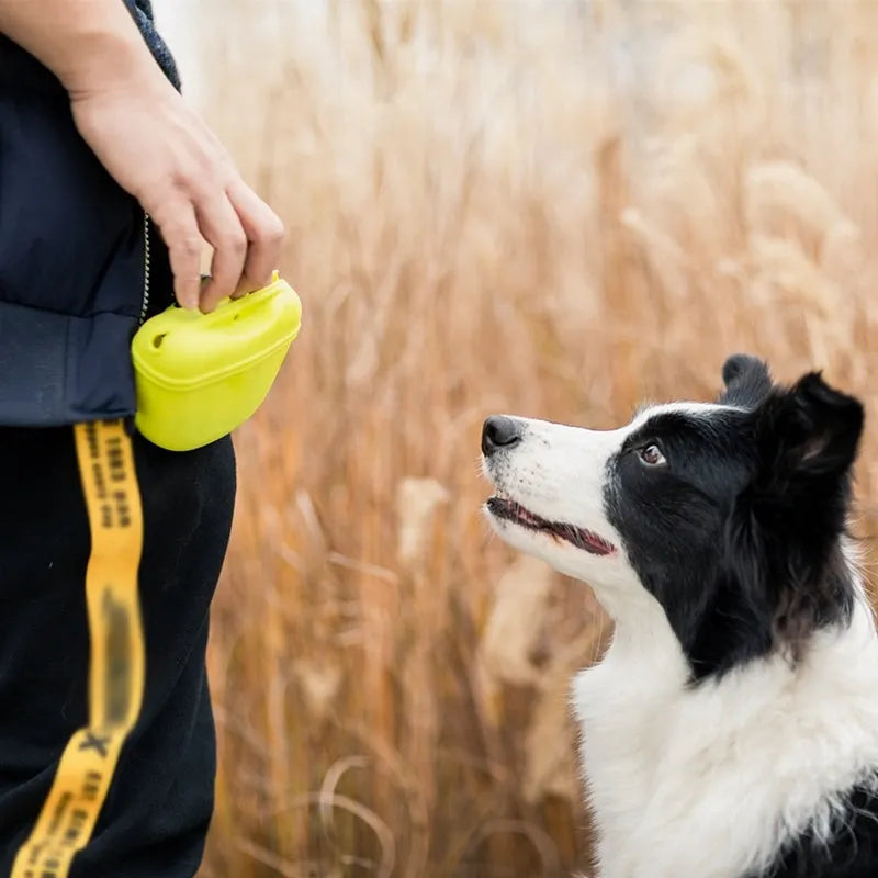 Coloured silicone dog treat bag with clip and magnetic opening, shown with dog training treats.
