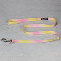 Gradient colour nylon dog leash set showing pink and yellow colour blend on a chest back harness style.