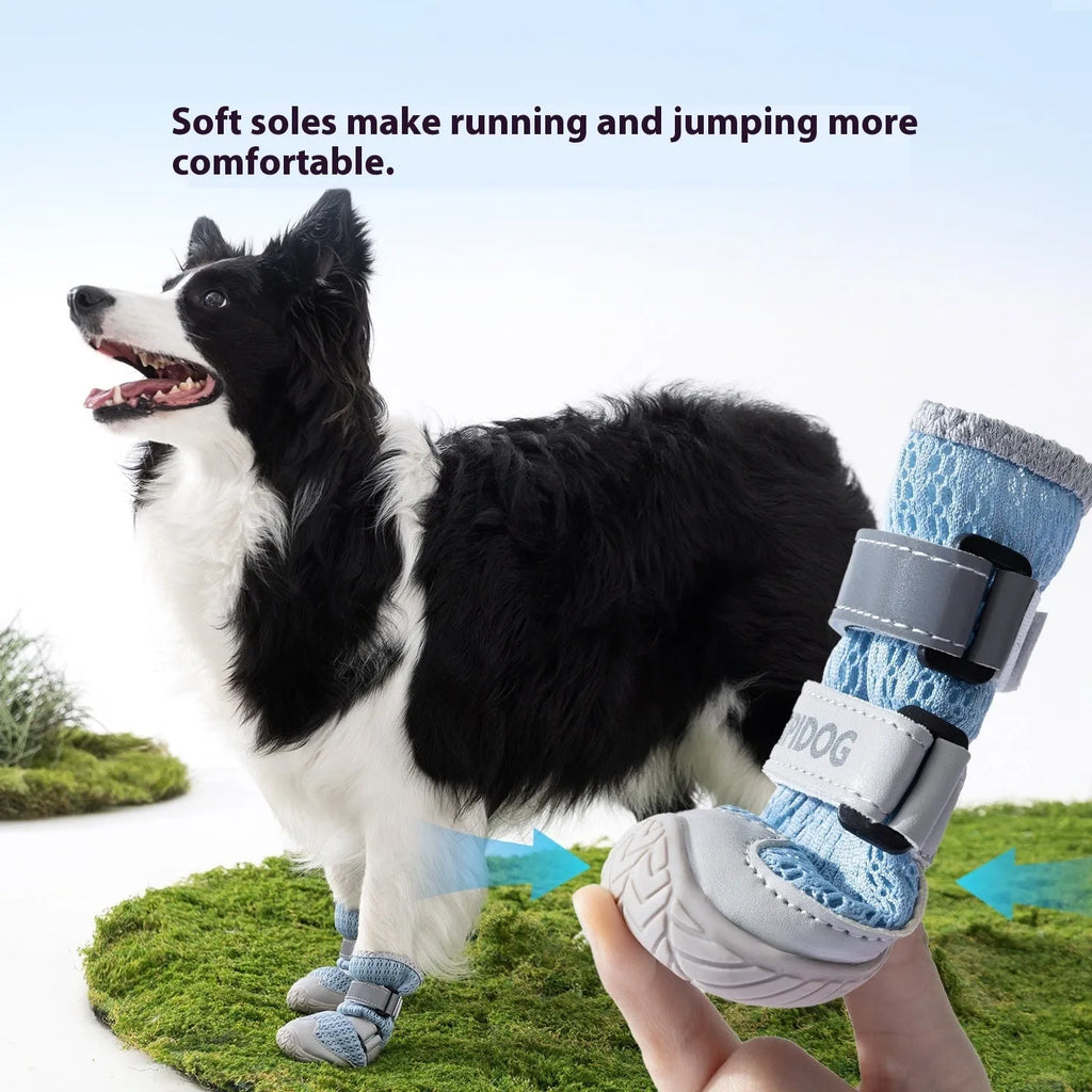 Cartoon style breathable dog shoes in Bondi Blue and Dean Green colours for summer paw protection